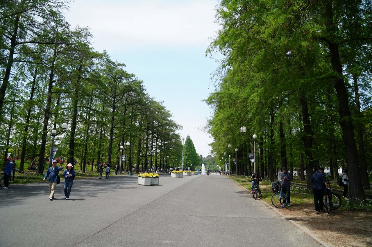 f:id:roamingaroundjp:20181024221601j:plain