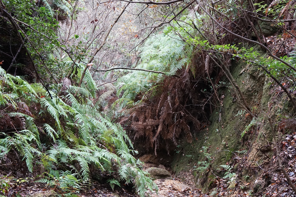 f:id:roamingaroundjp:20190908115757j:plain