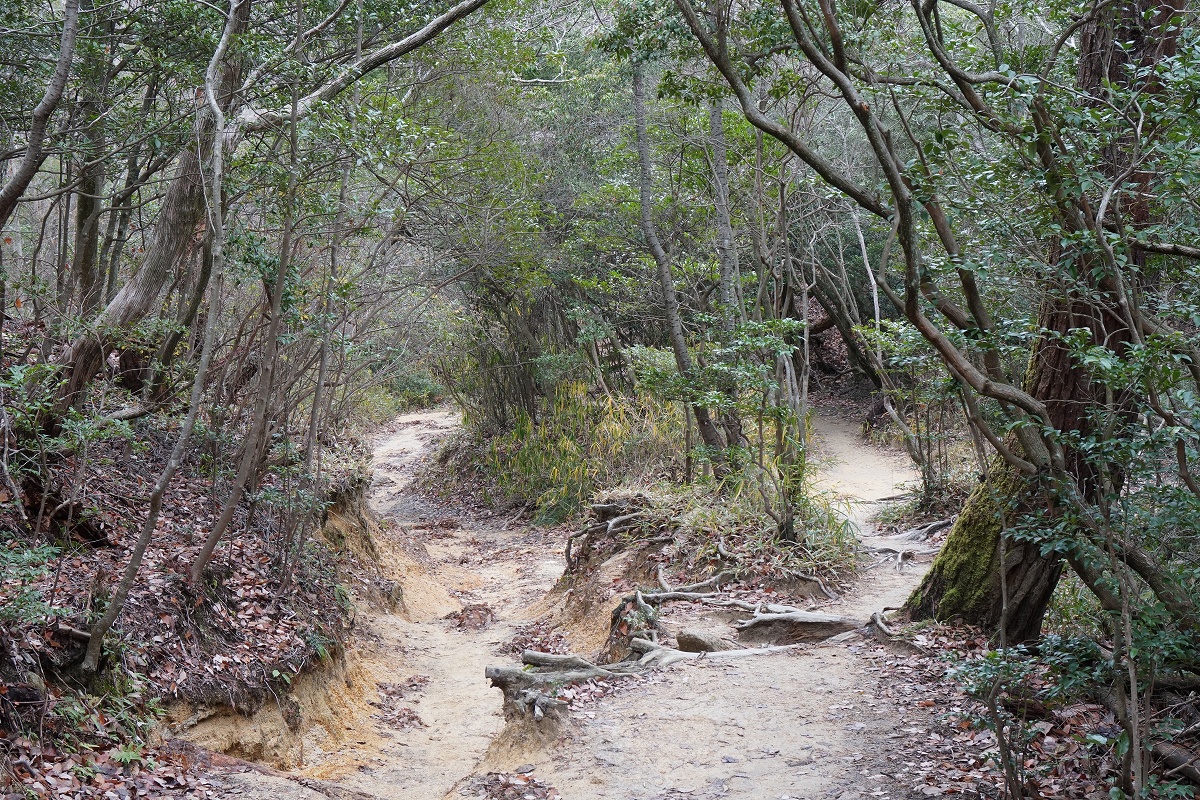 f:id:roamingaroundjp:20190908115930j:plain