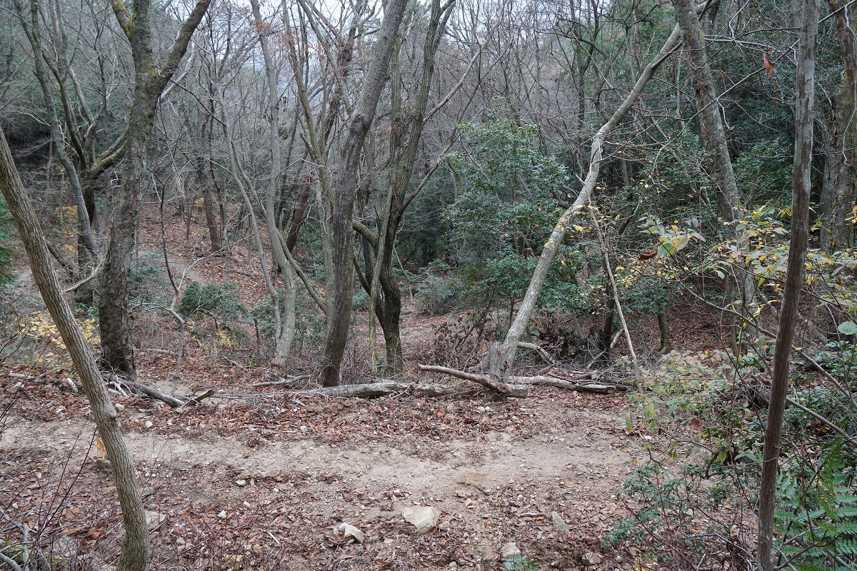 f:id:roamingaroundjp:20190908120312j:plain