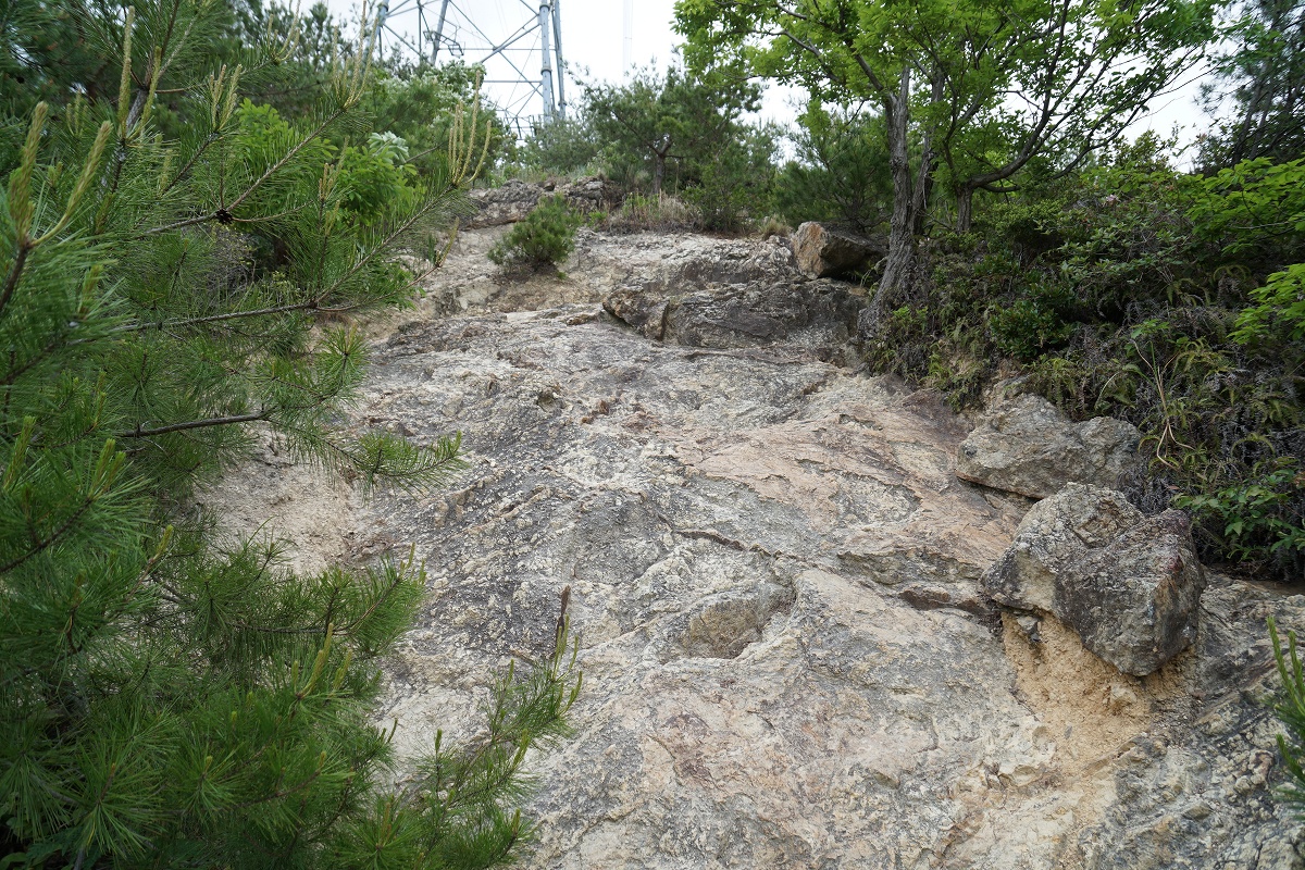 宝塚ロックガーデン～中山連山最高峰～分岐 (中山連山最高峰2