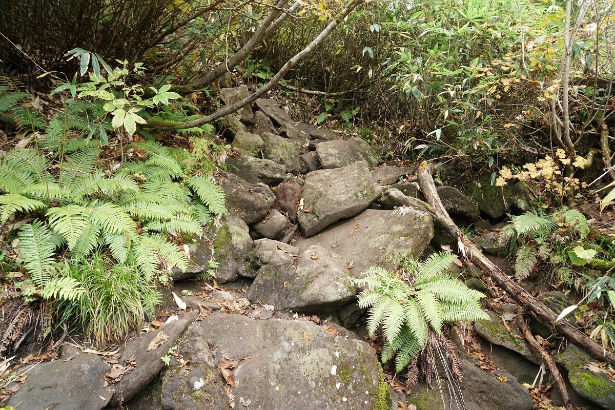 f:id:roamingaroundjp:20201010181433j:plain