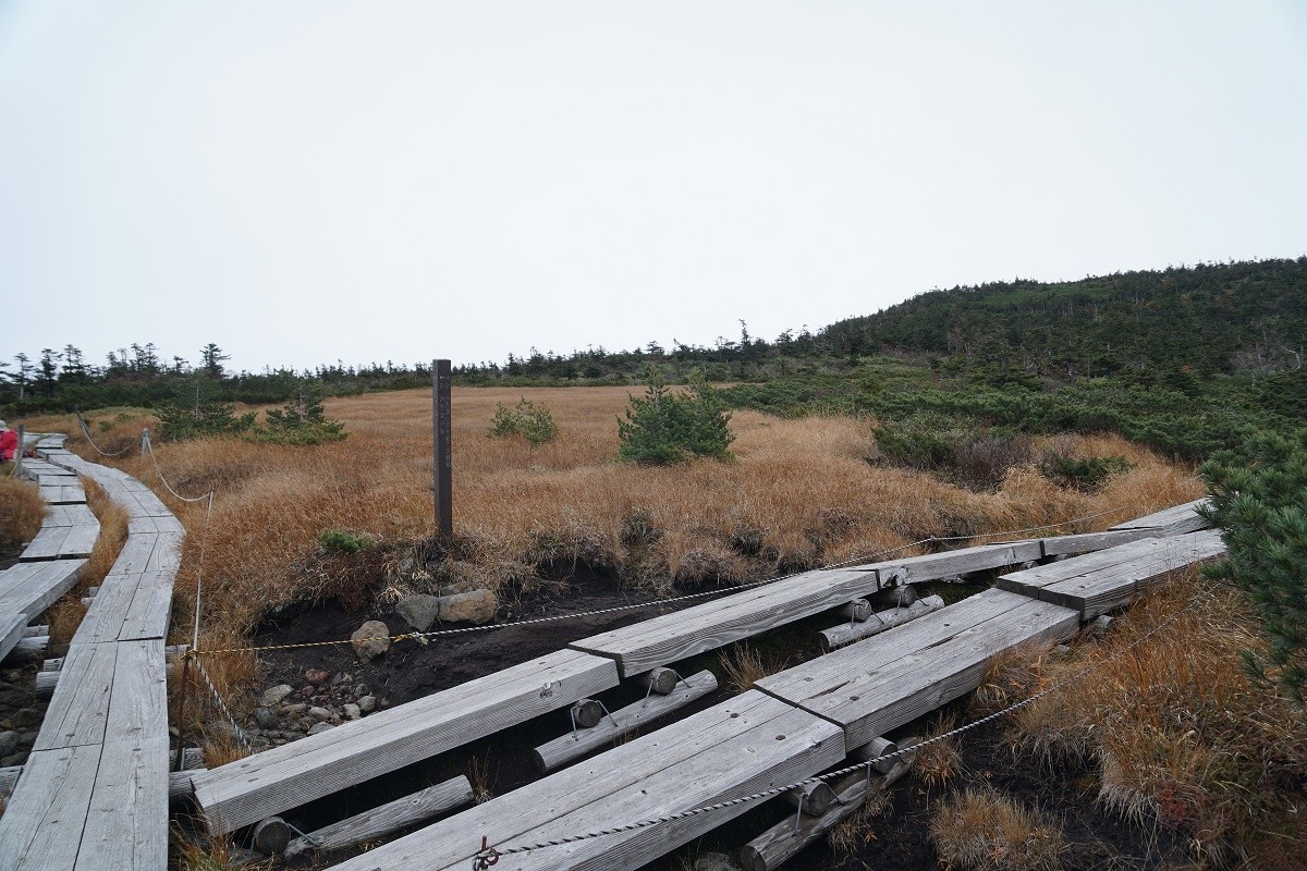 f:id:roamingaroundjp:20201010181452j:plain