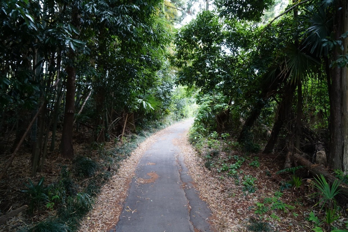 f:id:roamingaroundjp:20220313200007j:plain