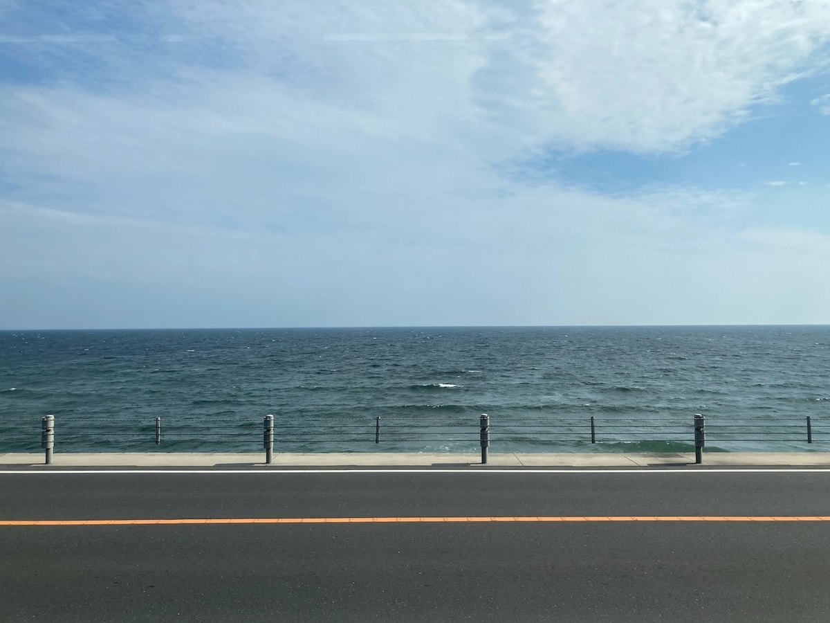 f:id:robamimim:20210530222007j:plain