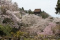 20120415120108