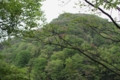 20160510113456