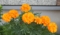 20111130142205