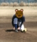 20120325173152