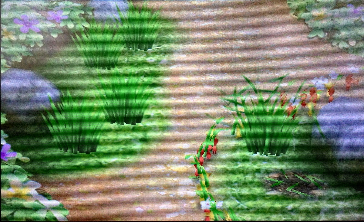 携帯ゲームでピクミンができる Hey ピクミン モノクロ猫熊日記