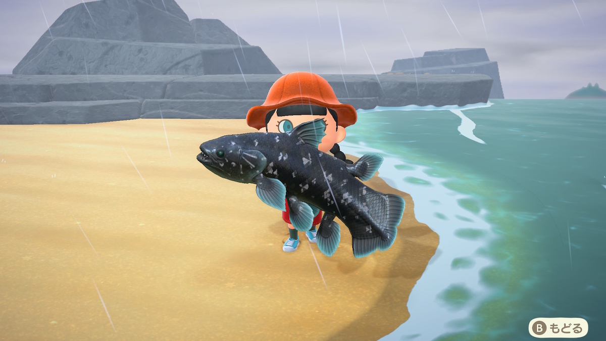 f:id:rocegreeronder:20200615224700j:plain