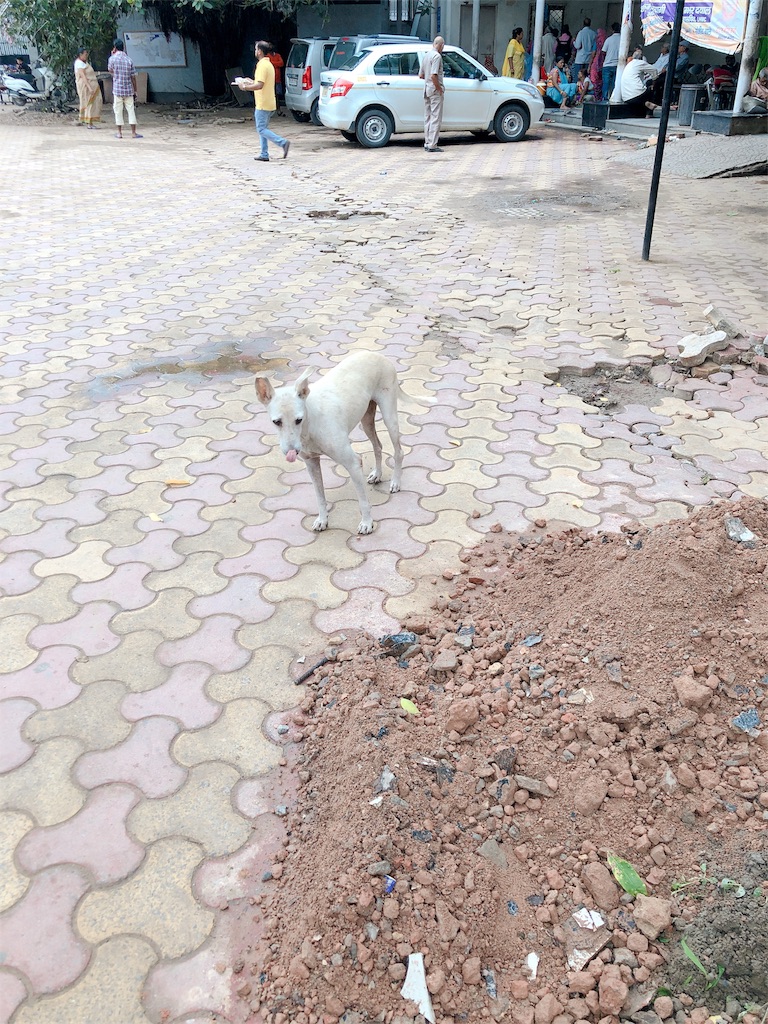 f:id:roch8kahi1247:20180930112204j:image f:id:roch8kahi1247:20180930112204j:image