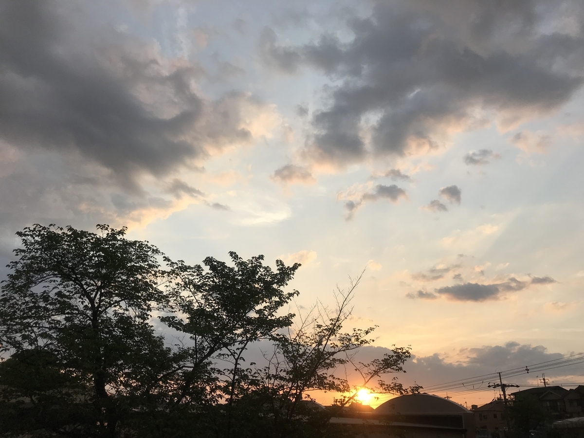 f:id:rocherkana:20190507012411j:plain