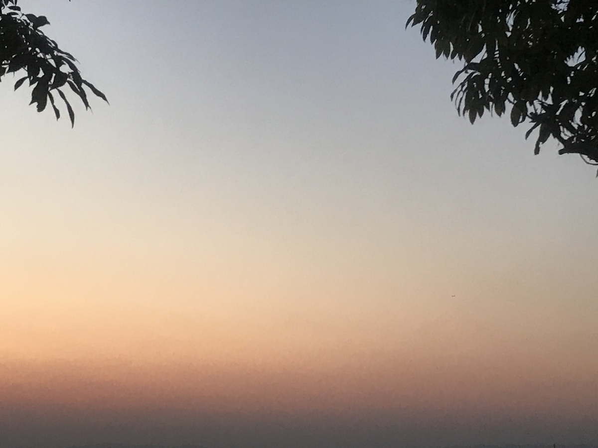 f:id:rocherkana:20190609090151j:plain f:id:rocherkana:20190609090151j:plain