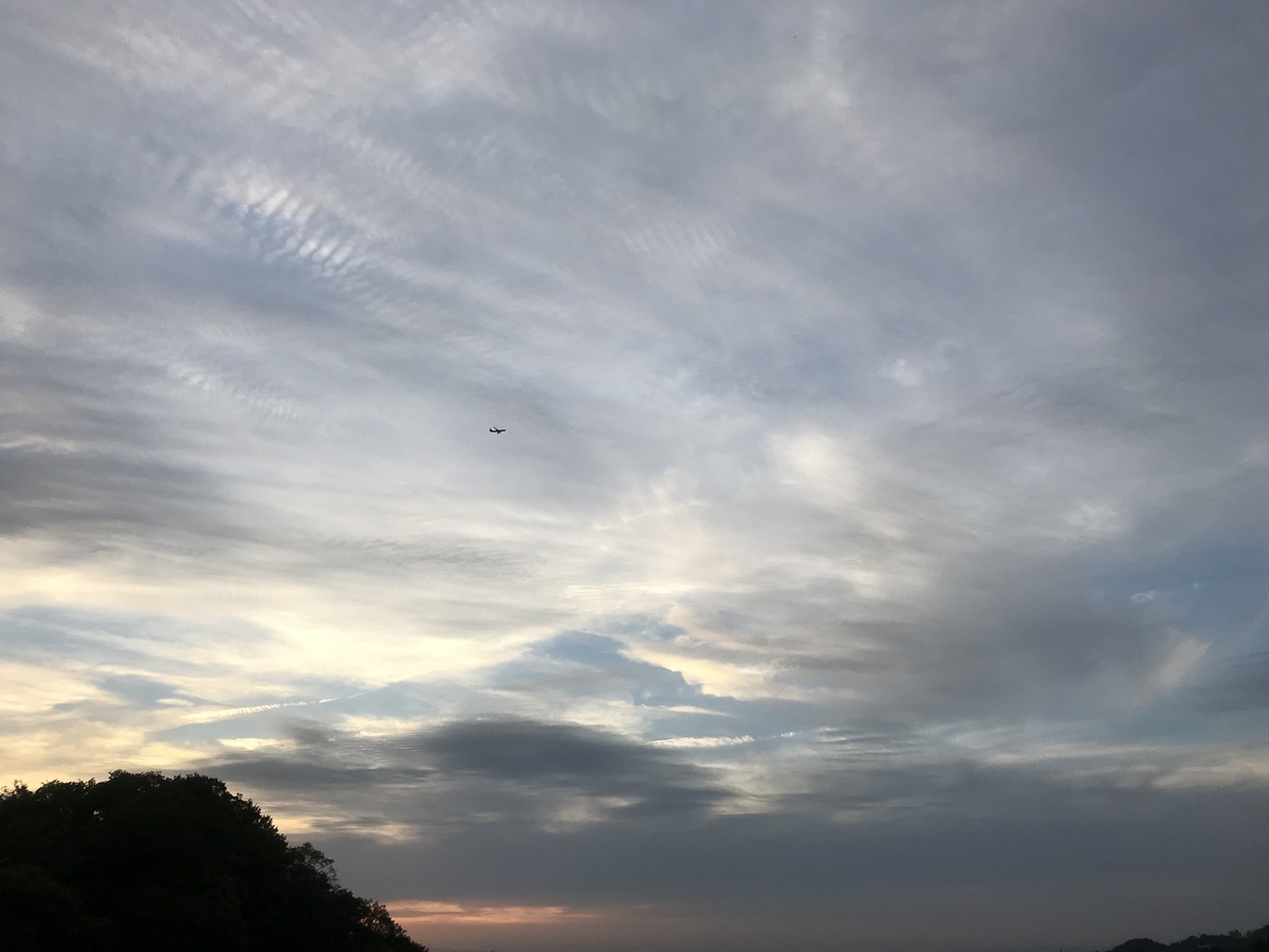 f:id:rocherkana:20190623191814j:plain f:id:rocherkana:20190623191814j:plain