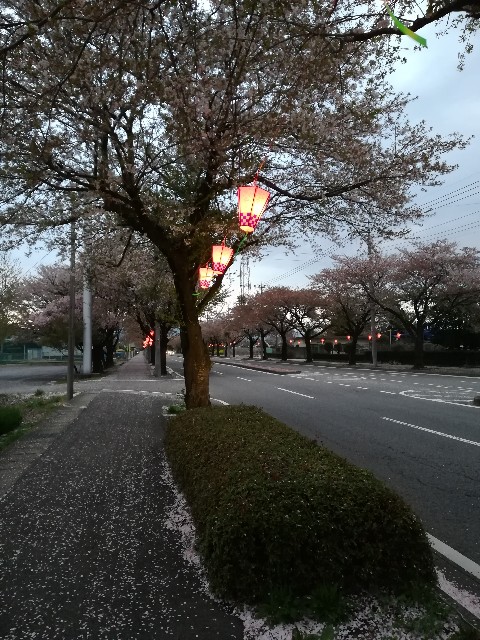 f:id:rock-nat2:20180411163721j:image