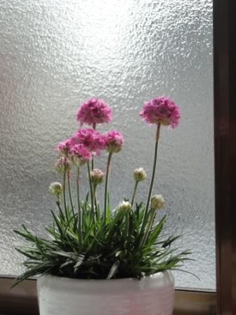 f:id:rock_azure:20120416091204j:image f:id:rock_azure:20120416091204j:image