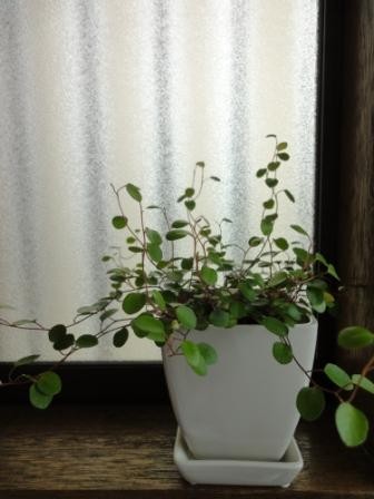 f:id:rock_azure:20120416094859j:image f:id:rock_azure:20120416094859j:image