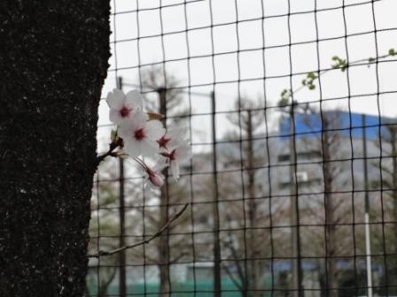 f:id:rock_azure:20120416172800j:image f:id:rock_azure:20120416172800j:image