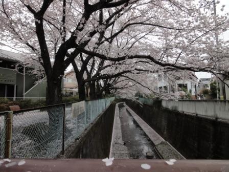 f:id:rock_azure:20130331145959j:image