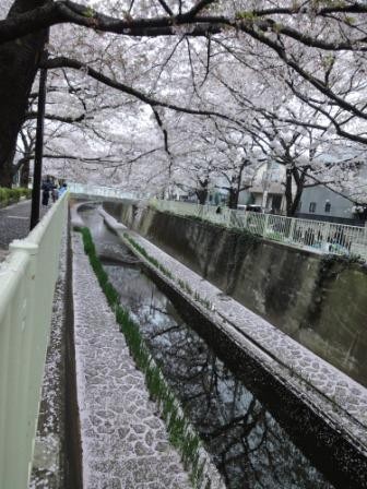 f:id:rock_azure:20130331155919j:image