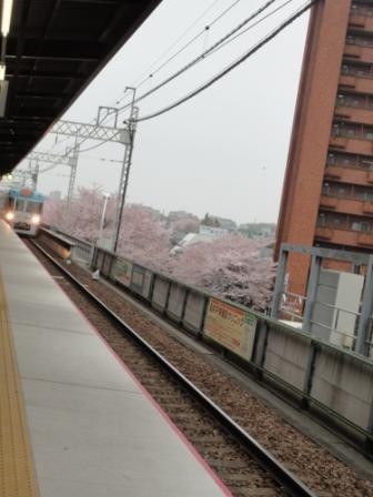 f:id:rock_azure:20130331161035j:image