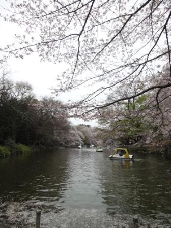 f:id:rock_azure:20130331162259j:image
