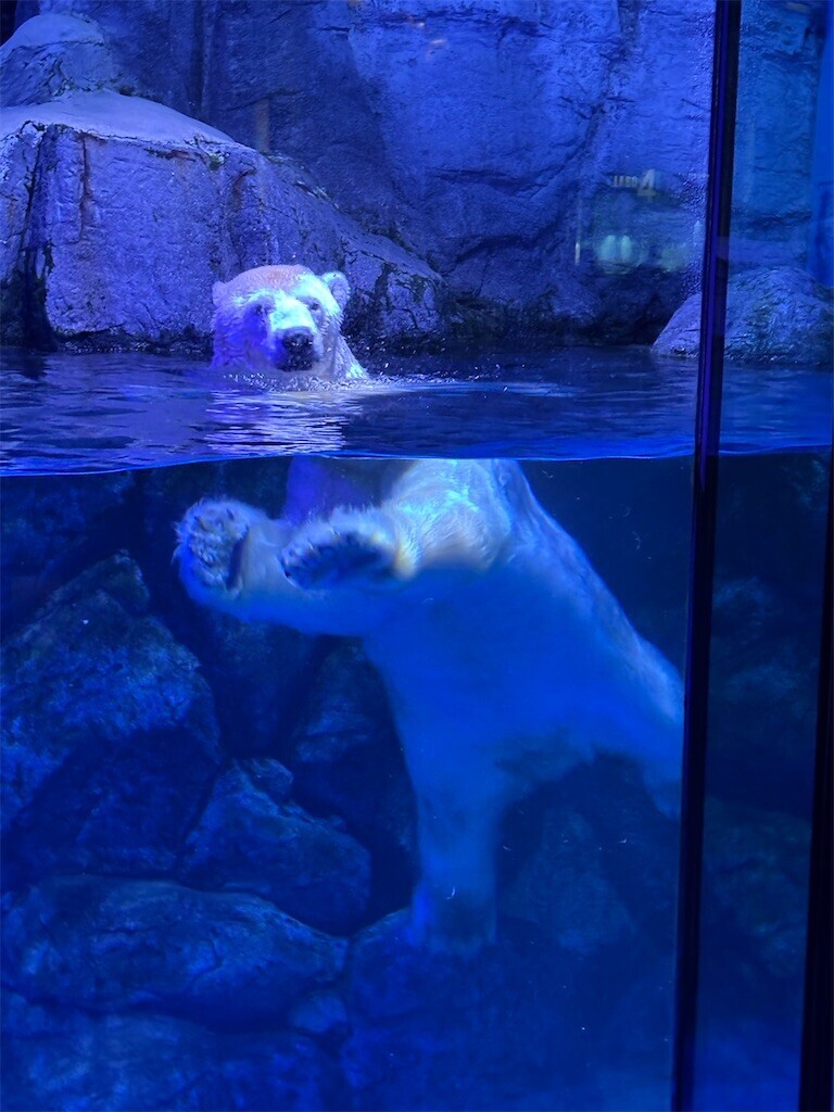 f:id:rock_azure:20251107144516j:image f:id:rock_azure:20251107144516j:image