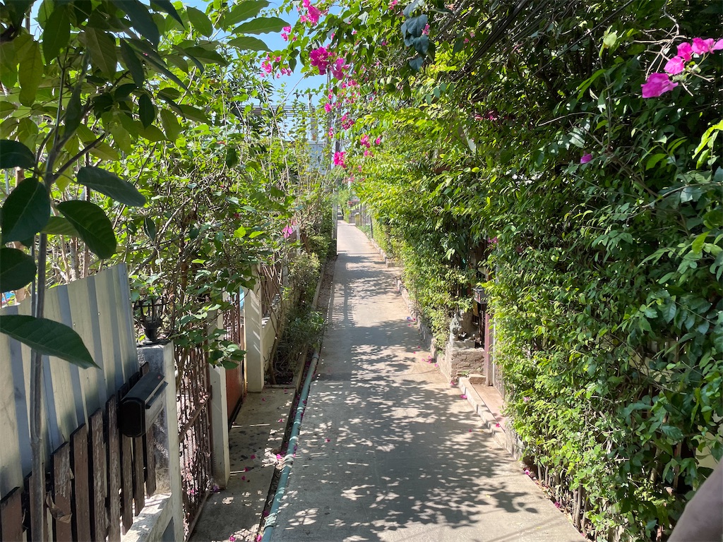 f:id:rock_jiro:20250502135454j:image