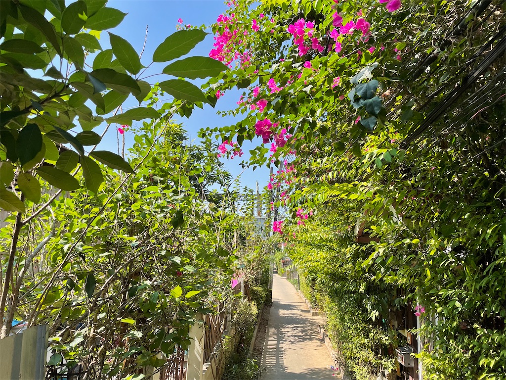 f:id:rock_jiro:20250502135906j:image