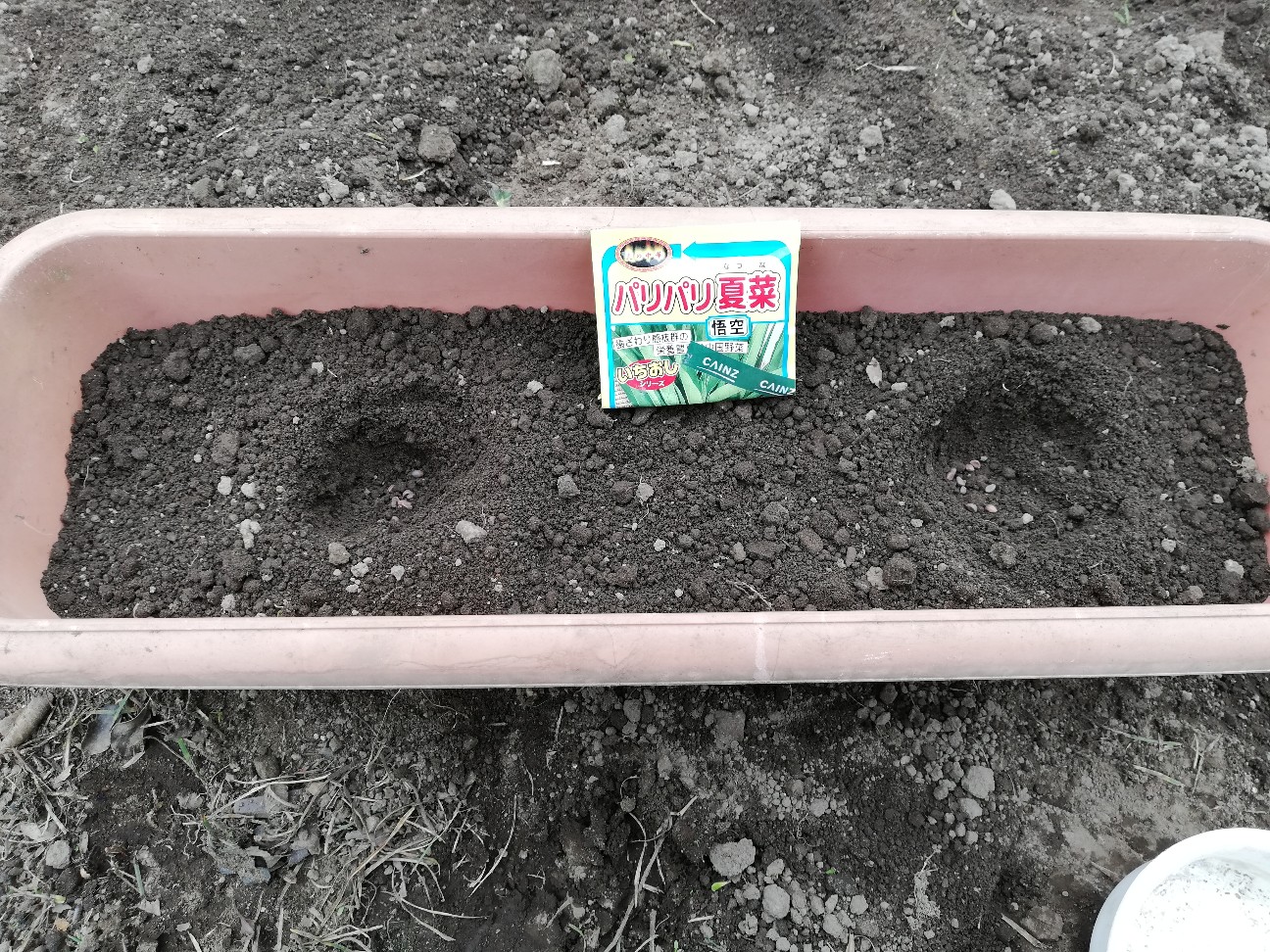 f:id:rockawaythemods:20190512213651j:image