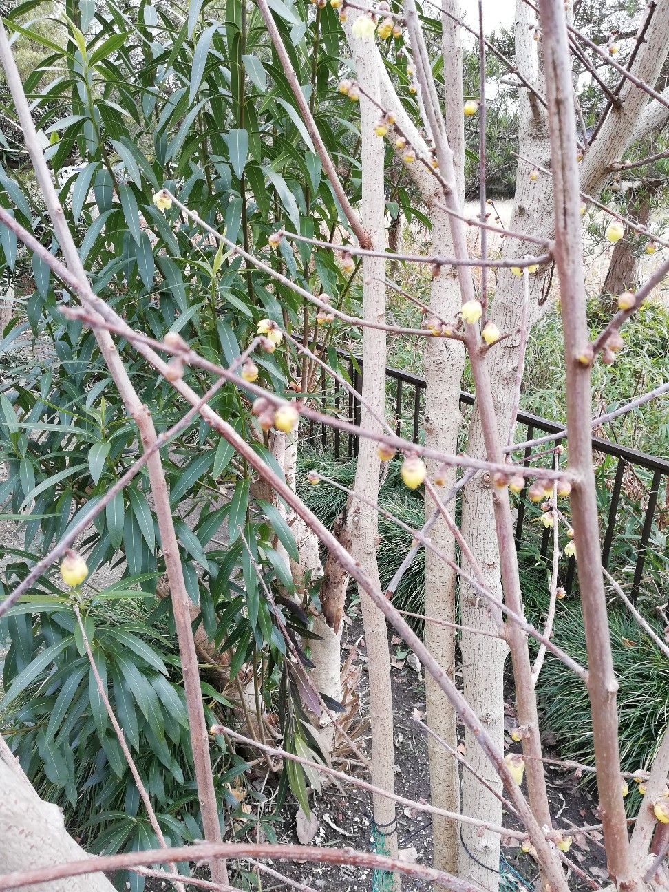 f:id:rockawaythemods:20200203080341j:image f:id:rockawaythemods:20200203080341j:image