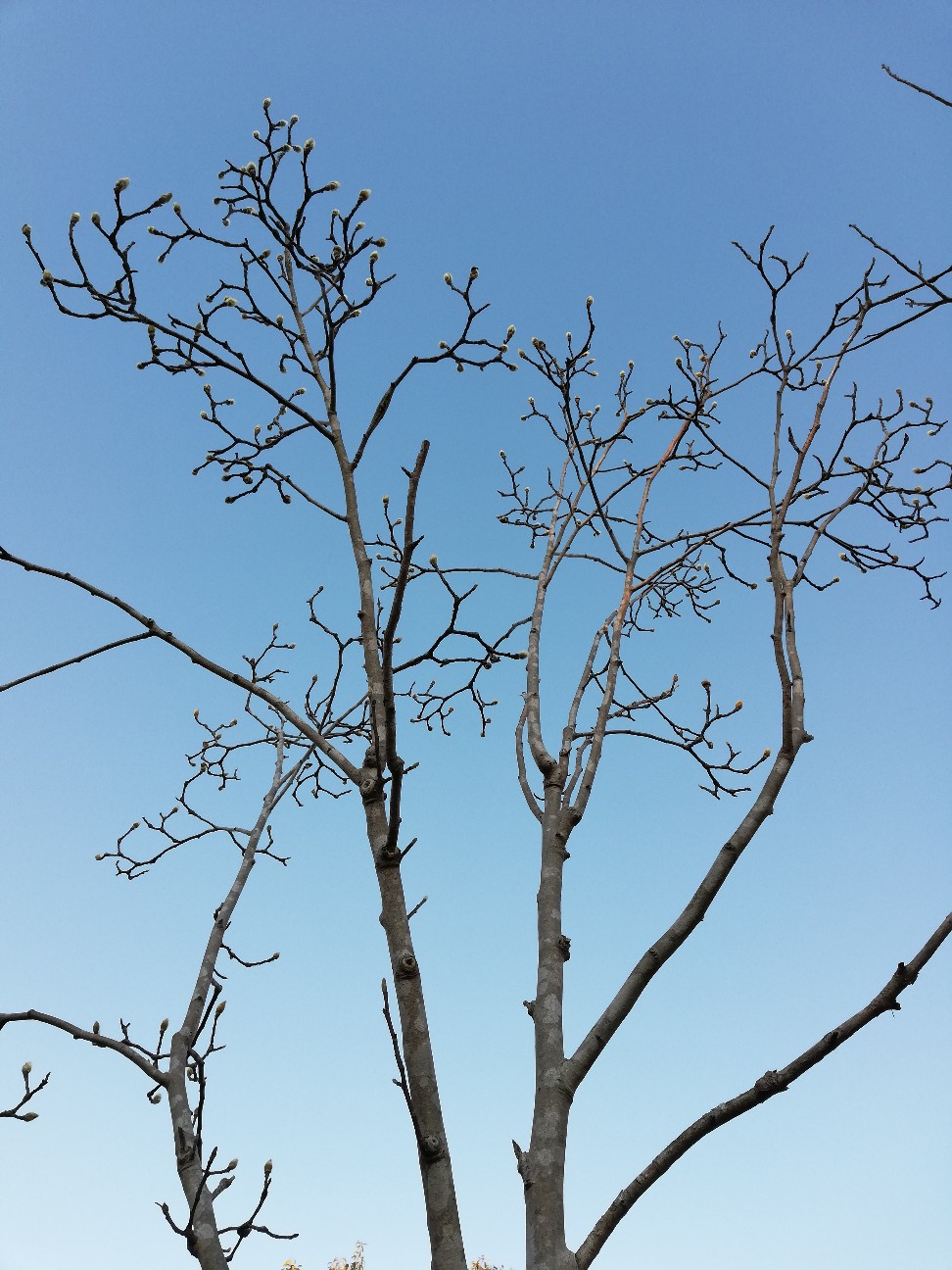 f:id:rockawaythemods:20200203080509j:image f:id:rockawaythemods:20200203080509j:image