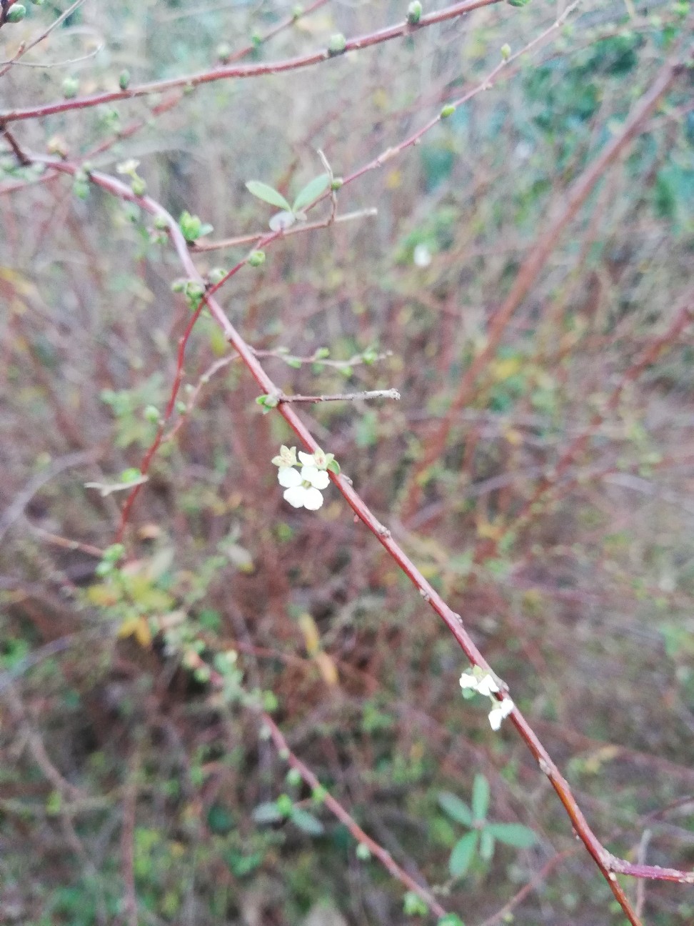 f:id:rockawaythemods:20200203081907j:image f:id:rockawaythemods:20200203081907j:image