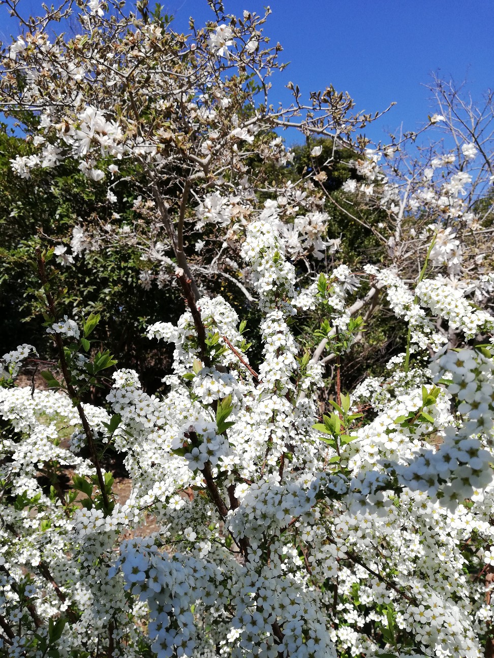 f:id:rockawaythemods:20200203082111j:image f:id:rockawaythemods:20200203082111j:image