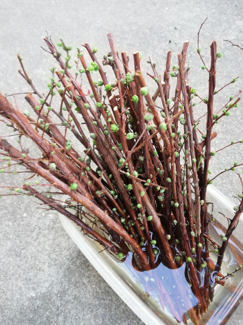 f:id:rockawaythemods:20200203083337j:image f:id:rockawaythemods:20200203083337j:image