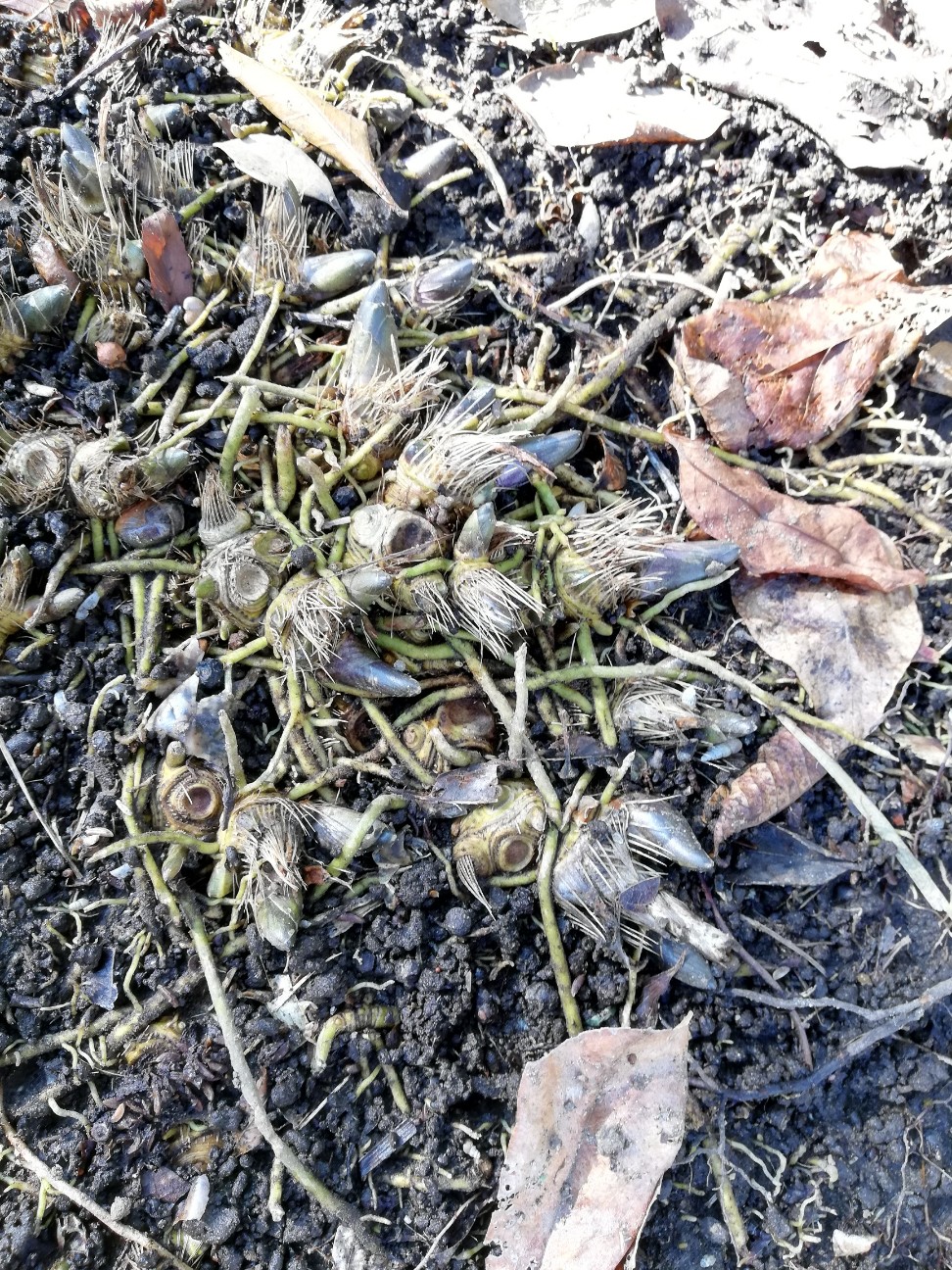 f:id:rockawaythemods:20200203083729j:image f:id:rockawaythemods:20200203083729j:image