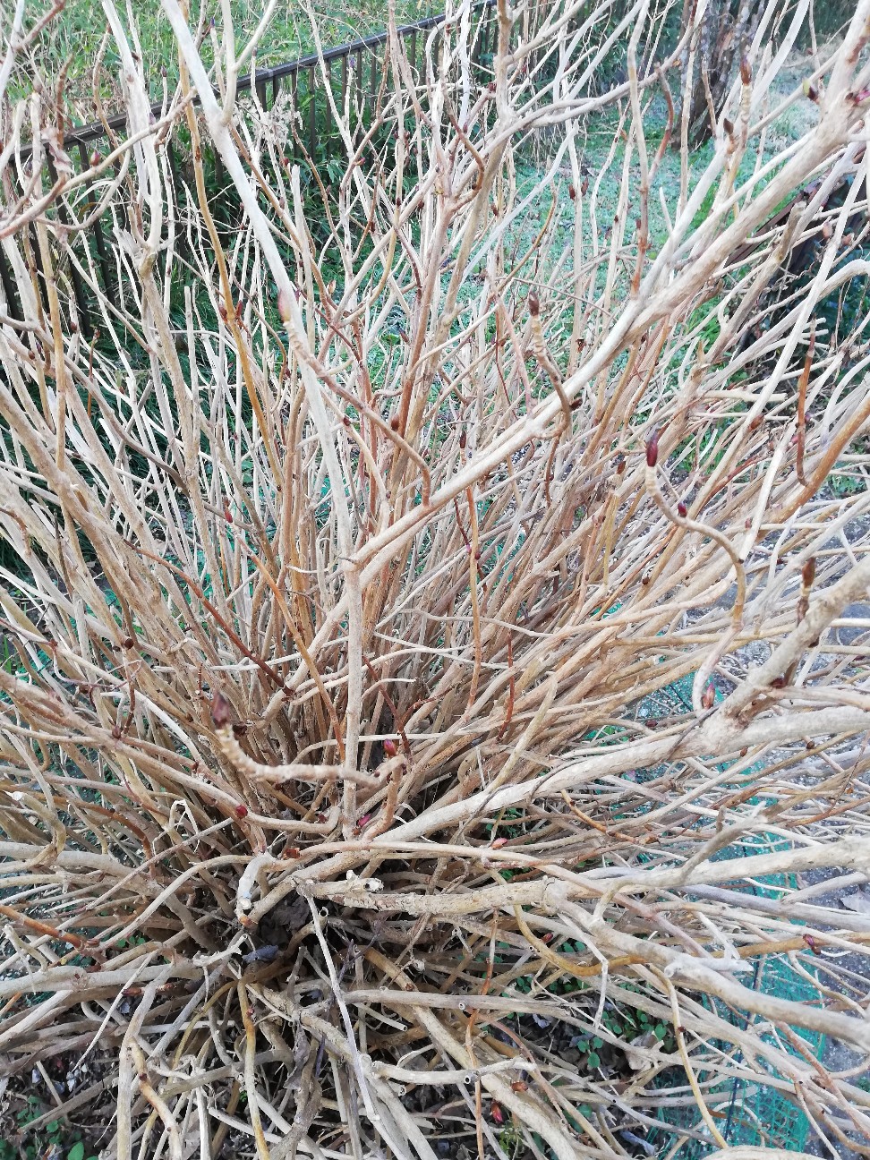 f:id:rockawaythemods:20200203204559j:image f:id:rockawaythemods:20200203204559j:image