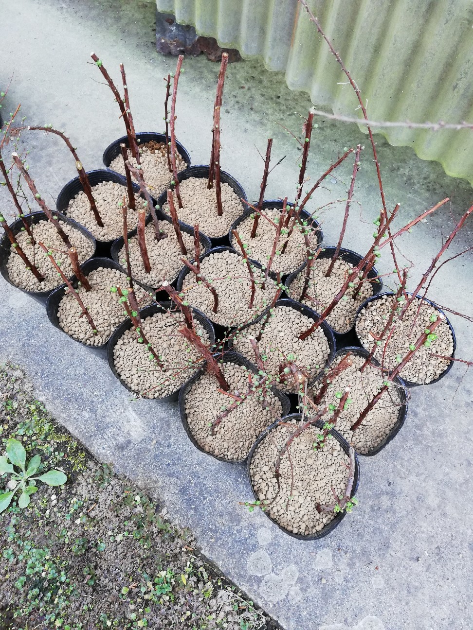 f:id:rockawaythemods:20200204210033j:image f:id:rockawaythemods:20200204210033j:image