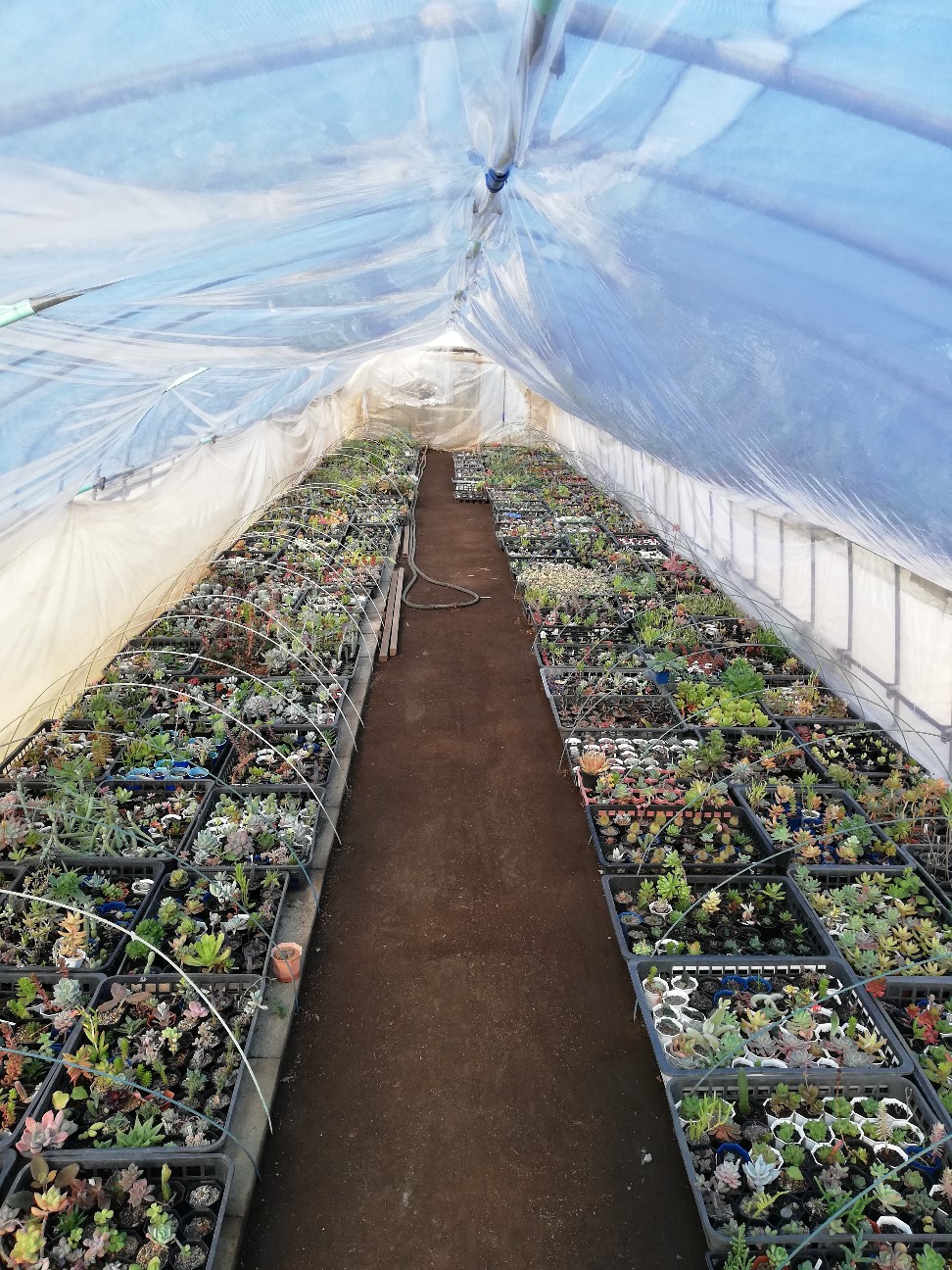 f:id:rockawaythemods:20200217154409j:image