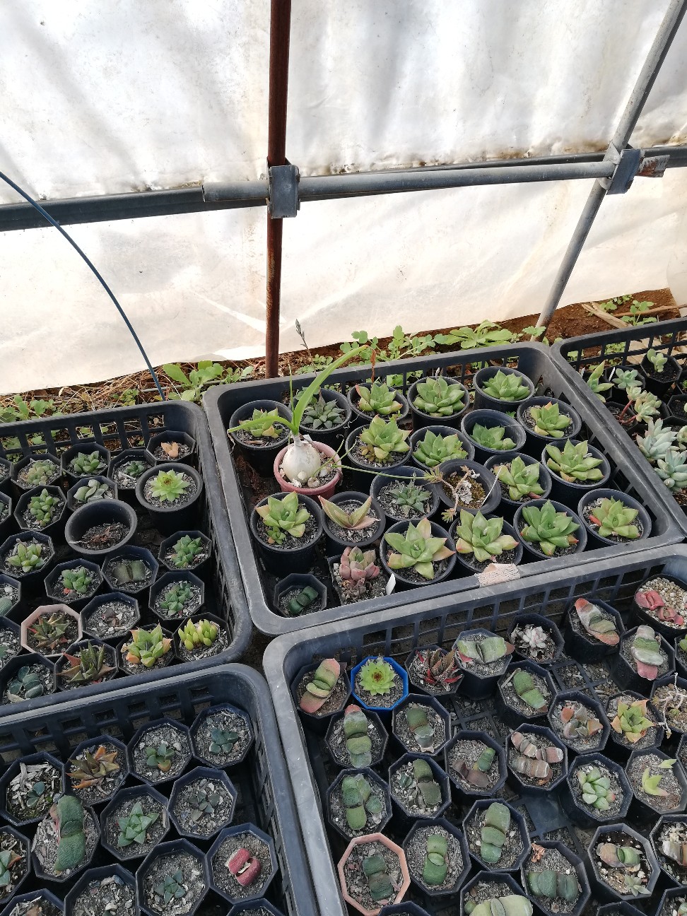 f:id:rockawaythemods:20200217154831j:image