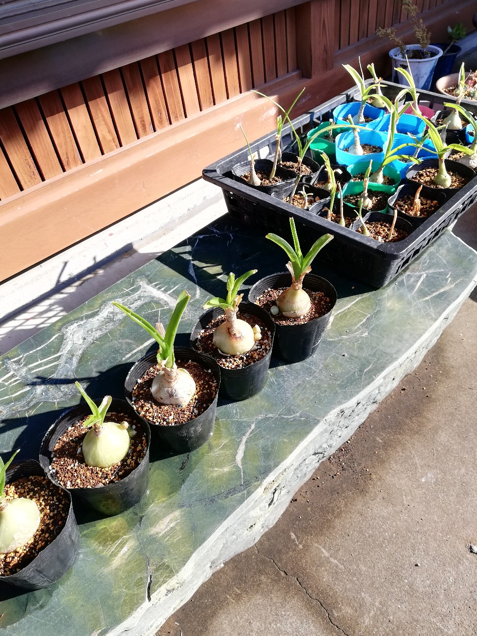 f:id:rockawaythemods:20200217160158j:image