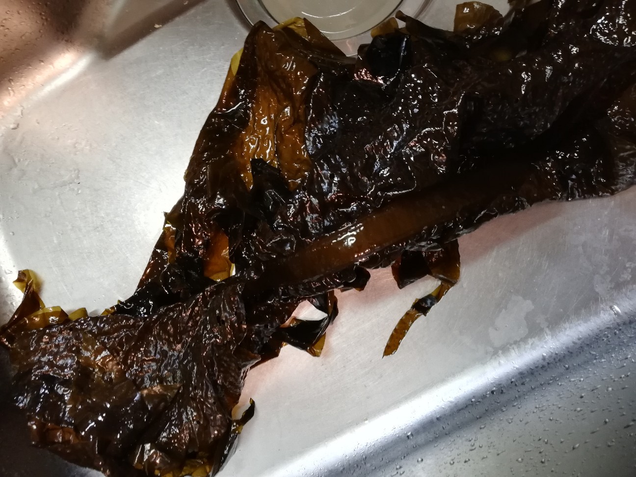 f:id:rockawaythemods:20200411150618j:image f:id:rockawaythemods:20200411150618j:image