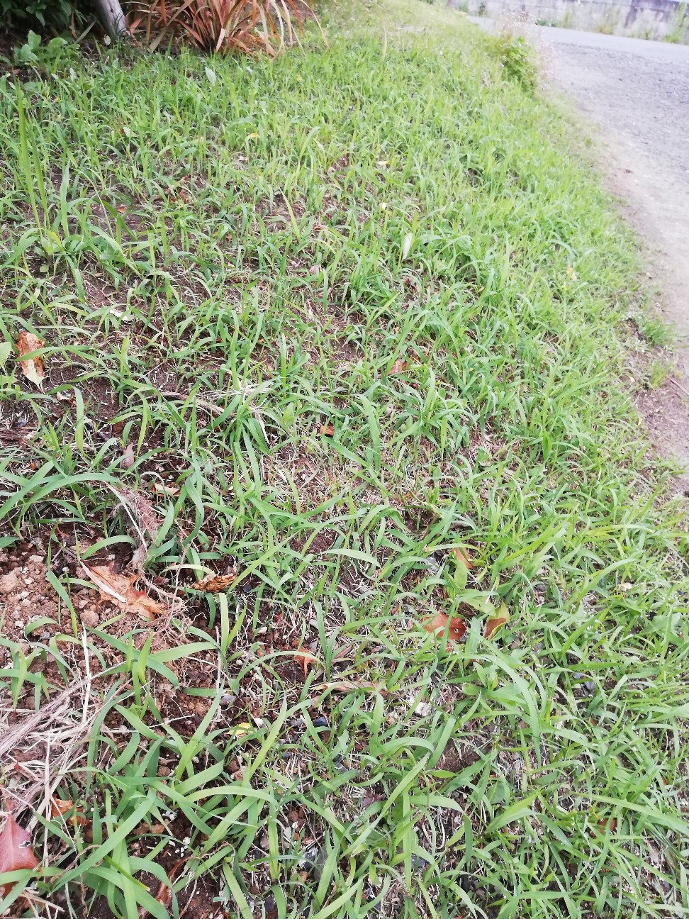 f:id:rockawaythemods:20200520053423j:image