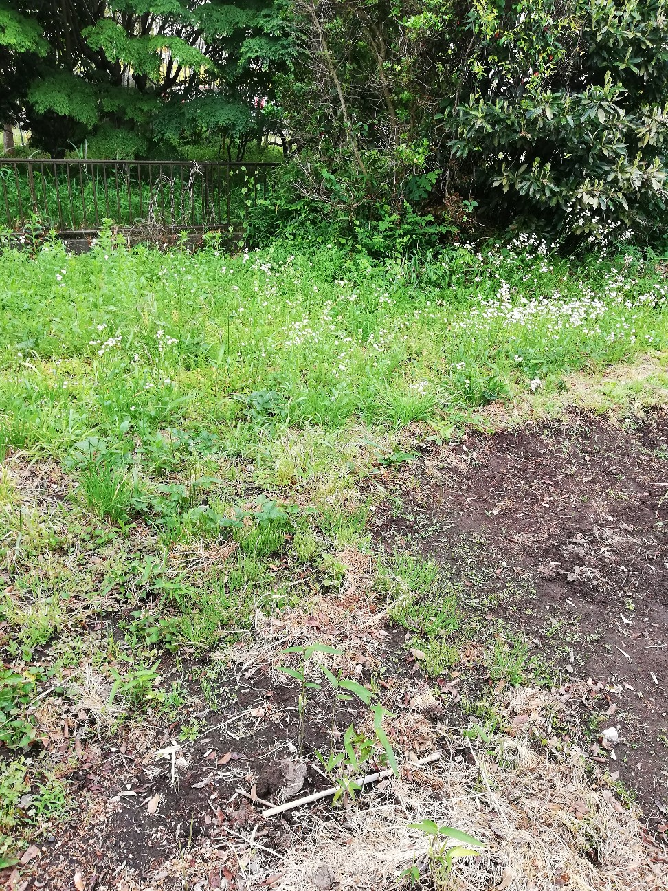 f:id:rockawaythemods:20200522155501j:image