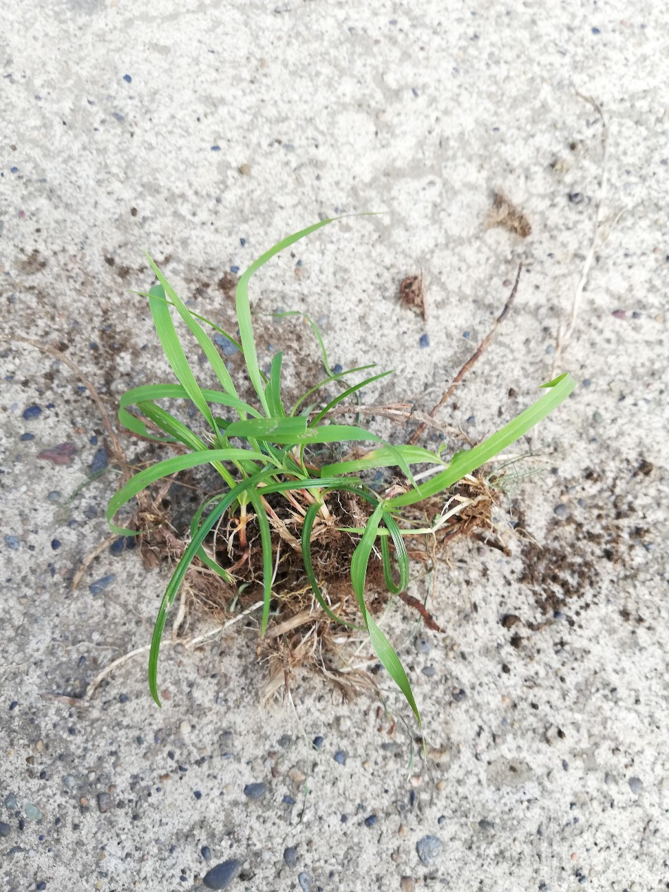 f:id:rockawaythemods:20200611202918j:image