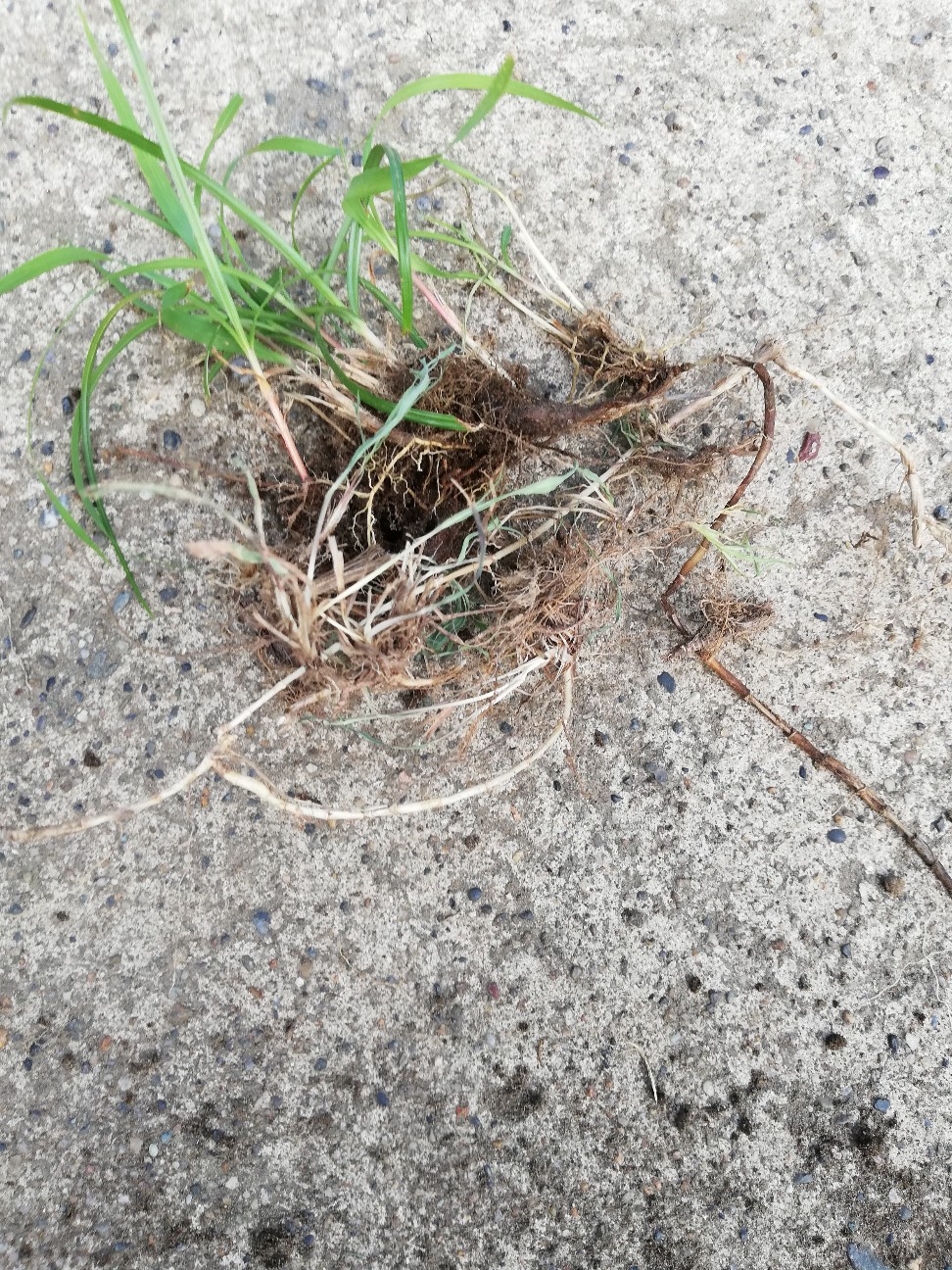 f:id:rockawaythemods:20200611203029j:image