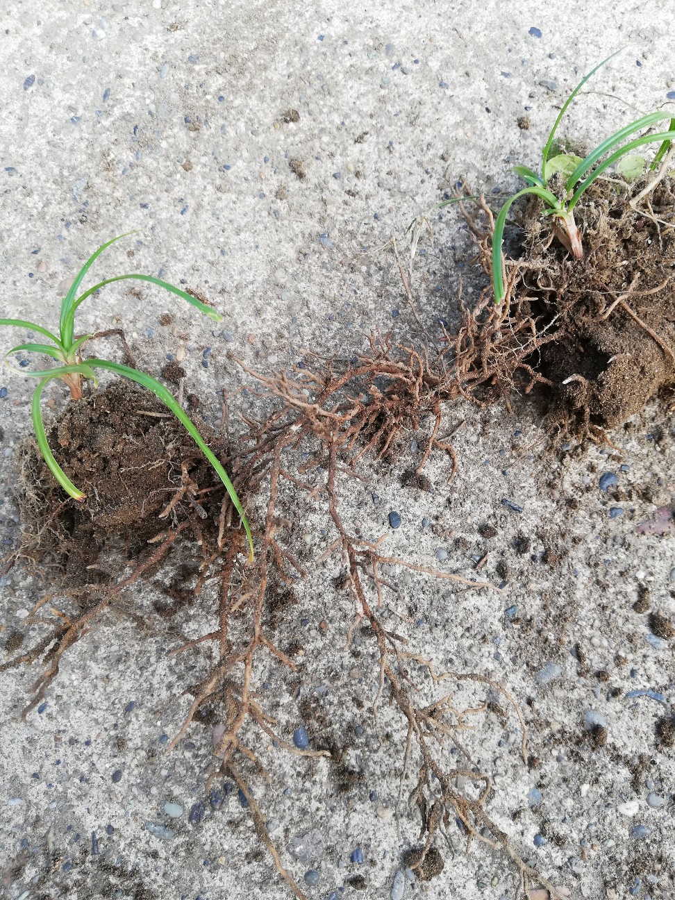 f:id:rockawaythemods:20200611203111j:image