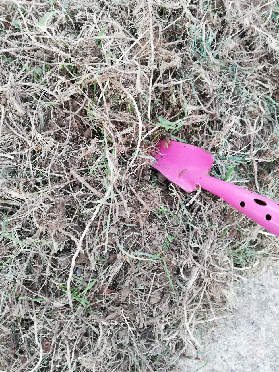 f:id:rockawaythemods:20200611203151j:image