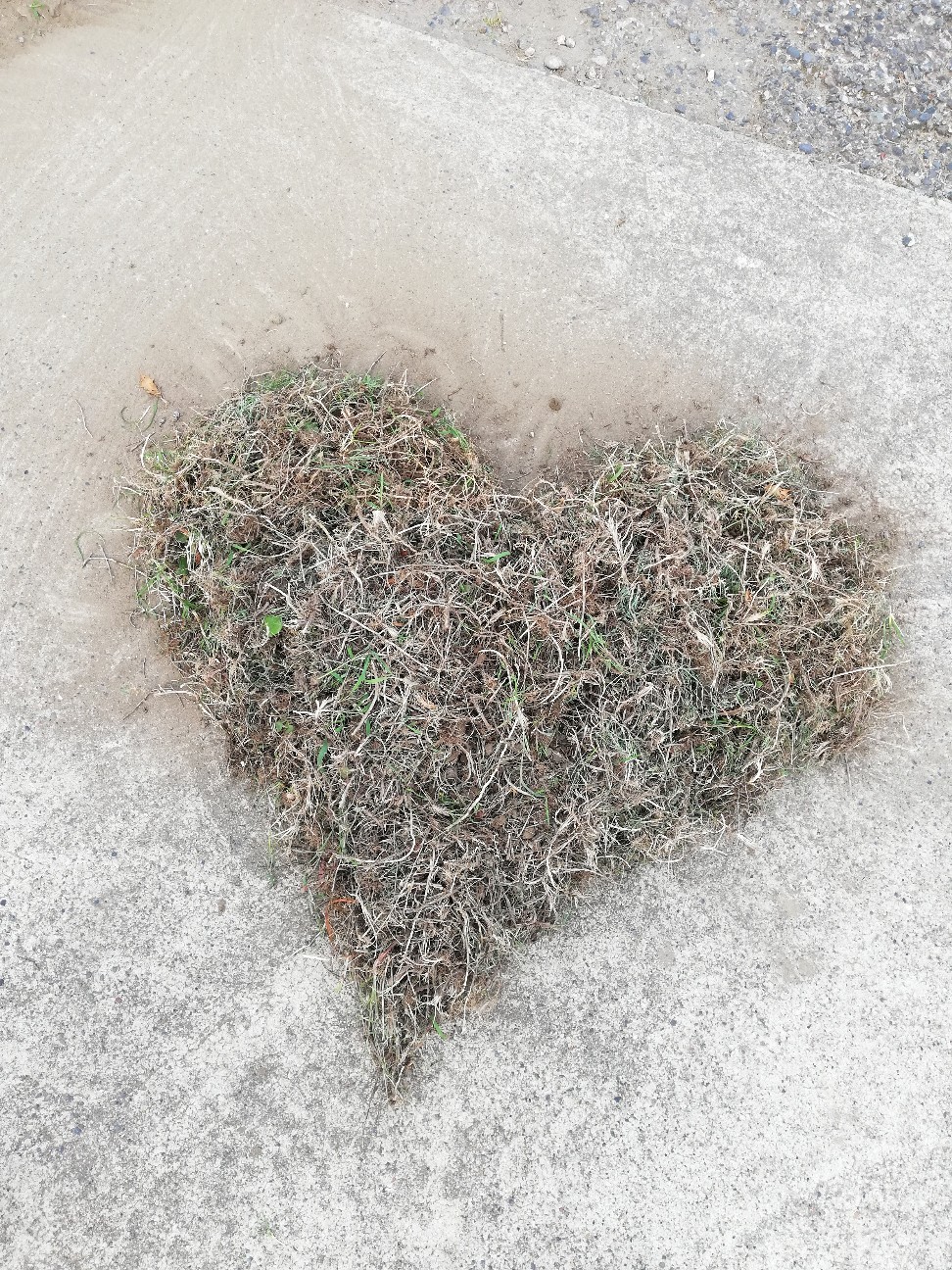 f:id:rockawaythemods:20200611203625j:image